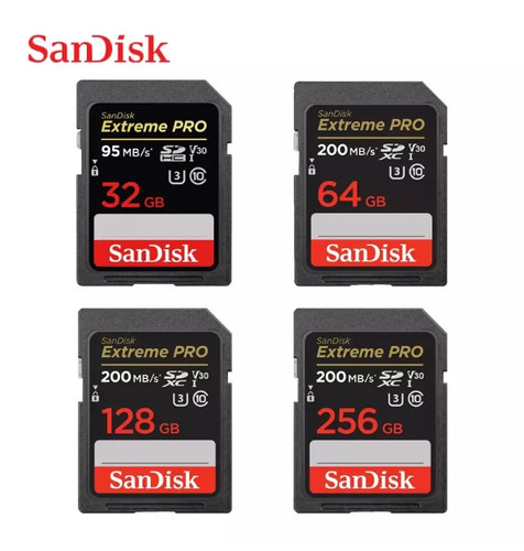 Scheda sandisk extreme - scheda, pro