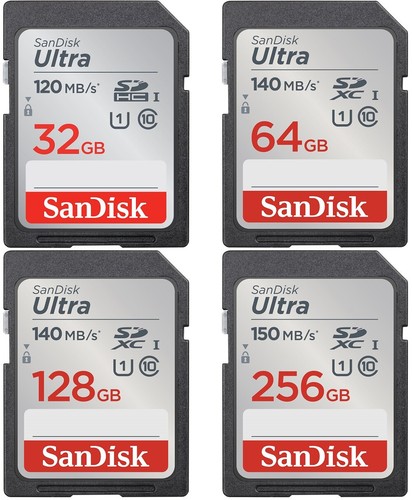 Scheda memoria sandisk - scheda, di