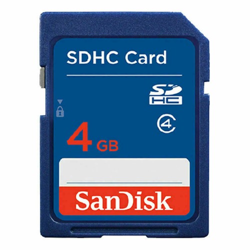 Scheda memoria sandisk gb - di,
