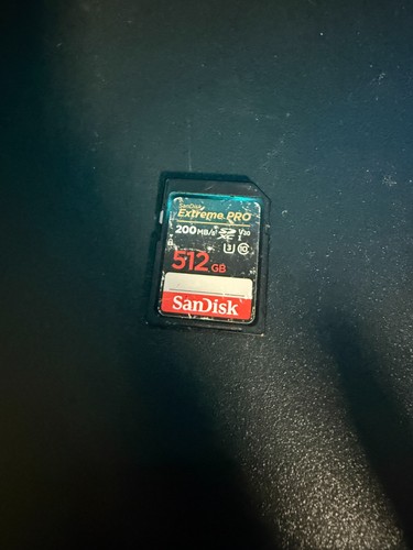 Scheda memoria sandisk - memoria,