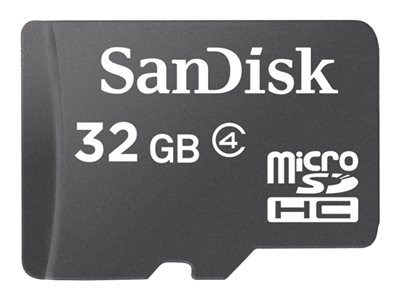 Sandisk card micro sdhc - sandisk,