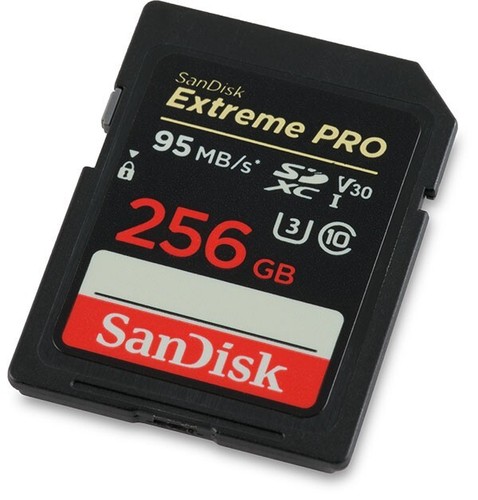 Scheda sandisk 256gb - sandisk,
